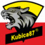 Kubica8787PL