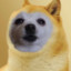 GabetheDogeXD