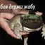 Щекочу яички's avatar