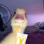 LilDucky69