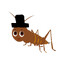 Avatar of lil ol cricket bug