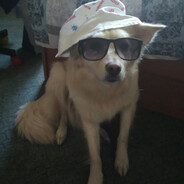 Harmi
