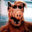 -----------Alf----------