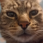 572