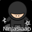 Ninjaslaap