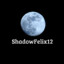 ShadowFelix12