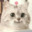 ᵉᴺᵉᵃˢᵀᵃ