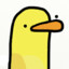 JustADuck