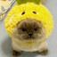 _♛AcYleNoK_LoLoLo♛_