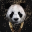 Panda2