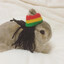 rasta bunny