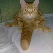 无钱吃饭等夏促