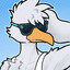 Top Bird