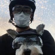 女领导要我敬业