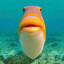 Le Fish