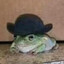 Meta's avatar
