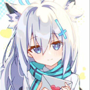 coke老师不会梦到小猫？