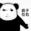 爱意随风起终止意难平