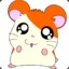 Hamtaro