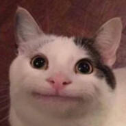MeowMeowMeow