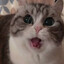 Danya