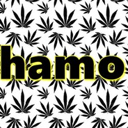 HAMO avatar