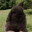 razorscooter(bunny) avatar