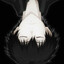 Avatar of player qwrereqwetrrewt