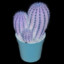 thecactus