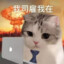 憨憨罢了