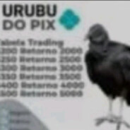 urubu do pix