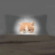 比奇堡扛把子海绵哥