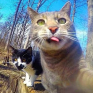 理塘最高戦力丁真兄さ