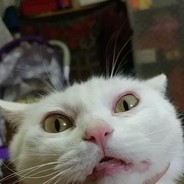 实在是相当简单的电脑