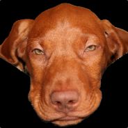 Telarian avatar