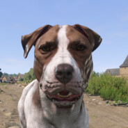 Chuligán-Junior Šimon avatar