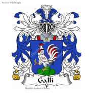 Galli [BR]