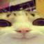 Tomek