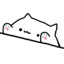 Nikikitko