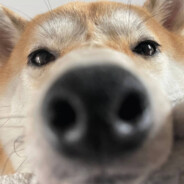 你说什么我看不清