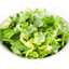 Lettuce Salad