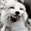 <Kivi>