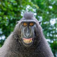 J - steam id 76561199561908212