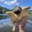 海绵宝宝