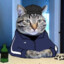 Gopocat