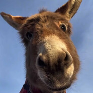 没事乐意吃点饭