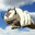 APPA