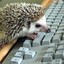 Rocky_Hedgehog