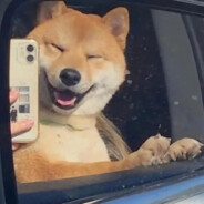 车窗上的卡片是她