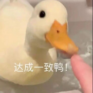 好运锦鲤